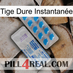 Tige Dure Instantanée new15